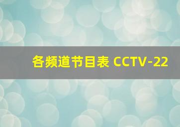 各频道节目表 CCTV-22